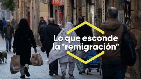 Remigración, el eufemismo que usa la extrema derecha para hablar de las deportaciones masivas de migrantes Remigración, el eufemismo que usa la extrema derecha para hablar de las deportaciones masivas de migrantes