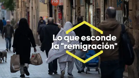 Remigración, el eufemismo que usa la extrema derecha para hablar de las deportaciones masivas de migrantes Remigración, el eufemismo que usa la extrema derecha para hablar de las deportaciones masivas de migrantes