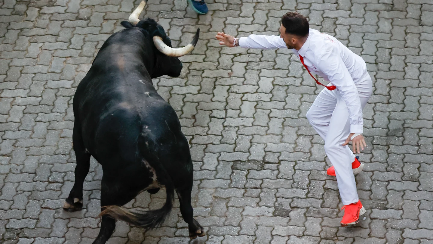 El toro de los Cebada Gago que se quedó suelto en el segundo encierro de San Fermín de 2025 El toro de los Cebada Gago que se quedó suelto en el segundo encierro de San Fermín de 2025