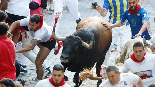 Uno de los toros de Álvaro Núñez, en el tercer encierro de San Fermín de 2025 Uno de los toros de Álvaro Núñez, en el tercer encierro de San Fermín de 2025