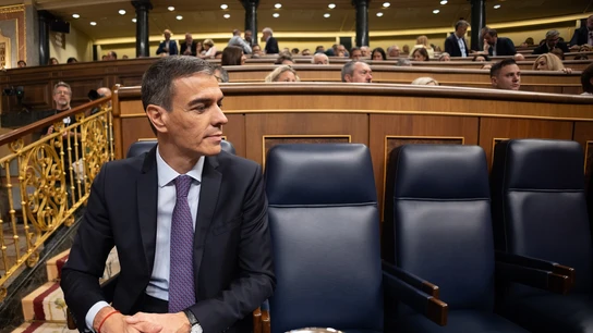 El presidente del Gobierno, Pedro Sánchez, durante un pleno extraordinario, en el Congreso de los Diputados, a 9 de julio de 2025 El presidente del Gobierno, Pedro Sánchez, durante un pleno extraordinario, en el Congreso de los Diputados, a 9 de julio de 2025