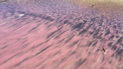 Arena color púrpura en Playa Pfeiffer (Big Sur, California) Arena color púrpura en Playa Pfeiffer (Big Sur, California)
