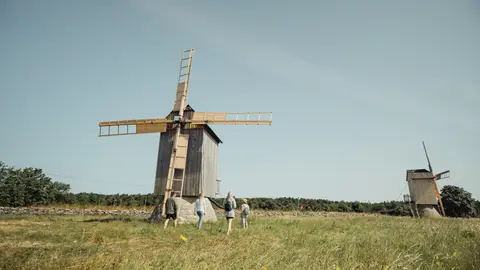 Molinos en Saaremaa Molinos en Saaremaa