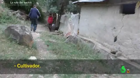 Equipo de Investigación se cuela en las plantaciones de marihuana de Marruecos y destapa cómo se fabrica el hachís Equipo de Investigación se cuela en las plantaciones de marihuana de Marruecos y destapa cómo se fabrica el hachís