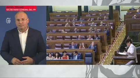 El Secretario de Organización del PP, Miguel Tellado El Secretario de Organización del PP, Miguel Tellado