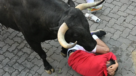 Un joven corredor, hecho un ovillo en el suelo bajo uno de los toros de Victoriano del Río, en el cuarto encierro de San Fermín de 2025 Un joven corredor, hecho un ovillo en el suelo bajo uno de los toros de Victoriano del Río, en el cuarto encierro de San Fermín de 2025