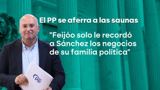 Miguel Tellado, sobre las palabras de Feijóo a Sánchez sobre las saunas de su suegro Miguel Tellado, sobre las palabras de Feijóo a Sánchez sobre las saunas de su suegro