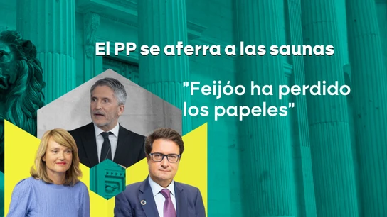 El Gobierno, indignado con las palabras de Feijóo El Gobierno, indignado con las palabras de Feijóo