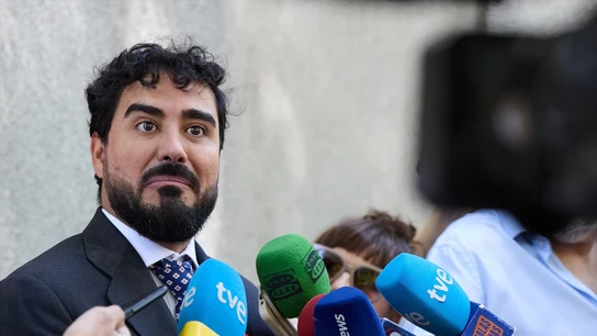 El líder de Se Acabó La Fiesta (SALF) y eurodiputado, Luis 'Alvise' Pérez, al salir de declarar en el Tribunal Supremo, a 11 de julio de 2025, en Madrid (España). El líder de Se Acabó La Fiesta (SALF) y eurodiputado, Luis 'Alvise' Pérez, al salir de declarar en el Tribunal Supremo, a 11 de julio de 2025, en Madrid (España).