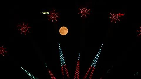 Luna de Ciervo en Irak Luna de Ciervo en Irak