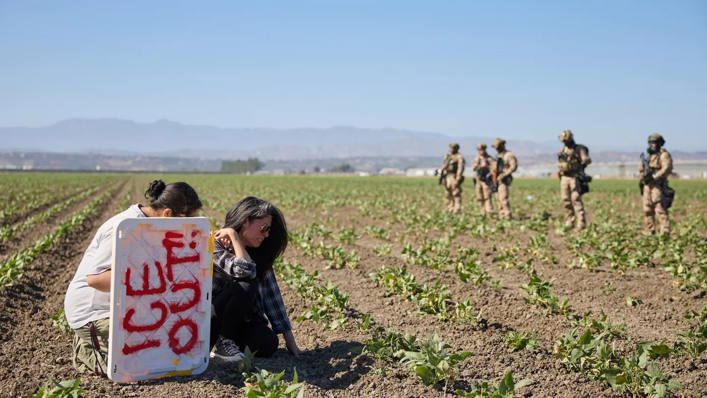 Manifestantes durante una brutal redada en una plantación de marihuana en California, Estados Unidos (EEUU). Manifestantes durante una brutal redada en una plantación de marihuana en California, Estados Unidos (EEUU).