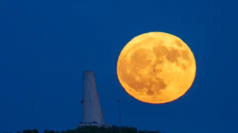 Luna de Ciervo en Italia Luna de Ciervo en Italia