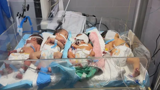 Imagen de cuatro recién nacidos gazatíes hacinados en una incubadora Imagen de cuatro recién nacidos gazatíes hacinados en una incubadora