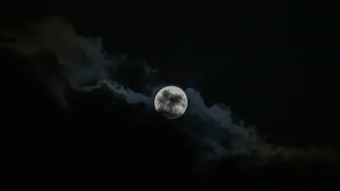 Luna de Ciervo en la India Luna de Ciervo en la India