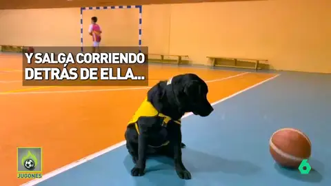 PERROS PERROS