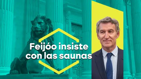 Feijóo insiste en vincular a la familia de Sánchez con prostíbulos y el Gobierno se niega a entrar en ese juego de "porquería" Feijóo insiste en vincular a la familia de Sánchez con prostíbulos y el Gobierno se niega a entrar en ese juego de "porquería"