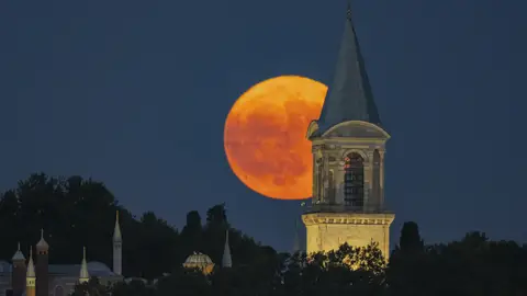 Luna de Ciervo en Estambul Luna de Ciervo en Estambul