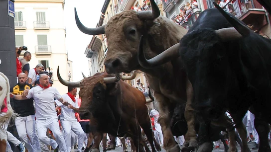 Los toros de la ganadería Jandilla persiguen a los mozos a su paso por la curva de Mercaderes durante el quinto encierro de los Sanfermines de 2025 Los toros de la ganadería Jandilla persiguen a los mozos a su paso por la curva de Mercaderes durante el quinto encierro de los Sanfermines de 2025