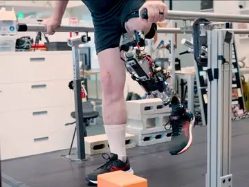 Una rodilla biónica integrada en el tejido devuelve la movilidad natural tras una amputación Una rodilla biónica integrada en el tejido devuelve la movilidad natural tras una amputación