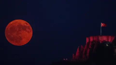 Luna de Ciervo en Ankara Luna de Ciervo en Ankara