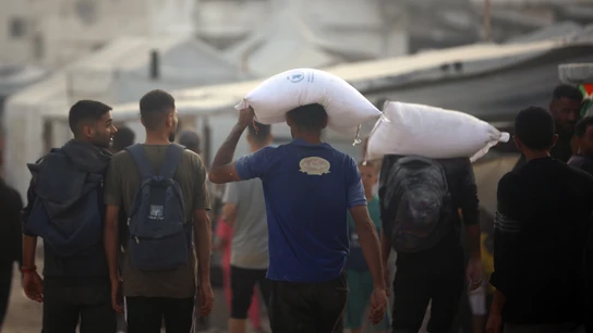 Palestinos cargan sacos de harina entregados por camiones de ayuda humanitaria en la ciudad de Gaza Palestinos cargan sacos de harina entregados por camiones de ayuda humanitaria en la ciudad de Gaza