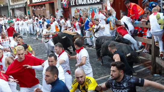 Los toros de La Palmosilla pasando por un tramo del séptimo encierro de San Fermín de 2025 Los toros de La Palmosilla pasando por un tramo del séptimo encierro de San Fermín de 2025