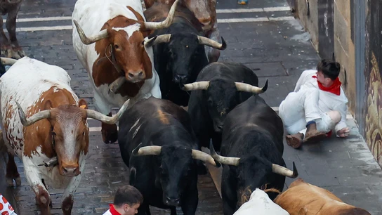 Un mozo, a un lado al paso de la manada de La Palmosilla en el séptimo encierro de San Fermín de 2025 Un mozo, a un lado al paso de la manada de La Palmosilla en el séptimo encierro de San Fermín de 2025