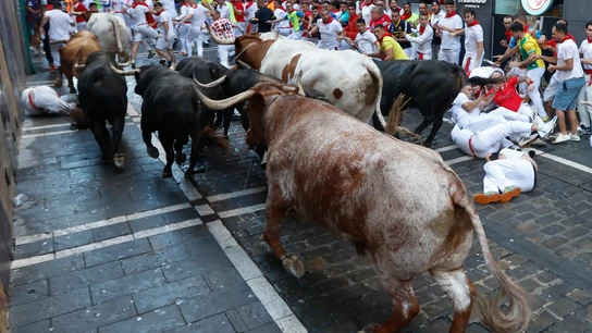 La Palmosilla, los toros del séptimo encierro de San Fermín de 2025 La Palmosilla, los toros del séptimo encierro de San Fermín de 2025