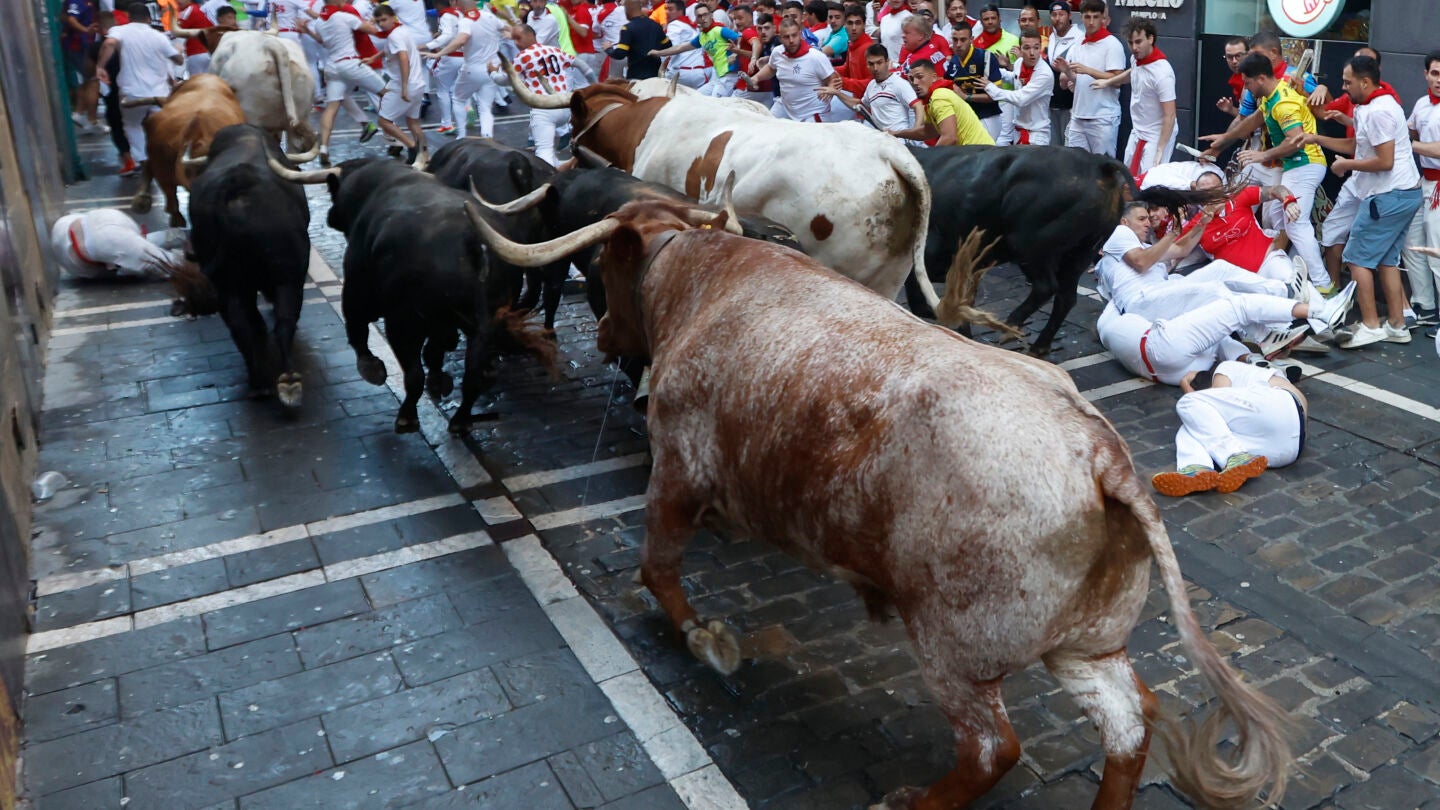 La Palmosilla, los toros del séptimo encierro de San Fermín de 2025
