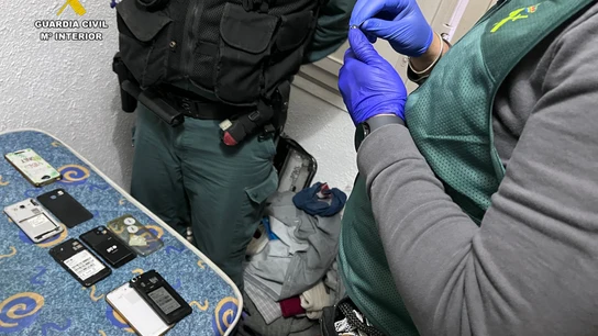 Detenida una trama acusada de estafar 1,6 millones de euros por internet Detenida una trama acusada de estafar 1,6 millones de euros por internet