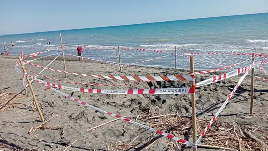 Muere un joven de 17 años al quedarse sepultado en un hoyo que él mismo cavó en una playa de Italia Muere un joven de 17 años al quedarse sepultado en un hoyo que él mismo cavó en una playa de Italia