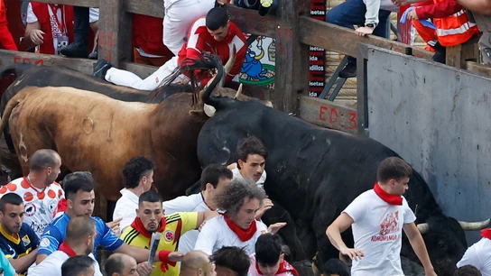 Los toros de La Palmosilla, ya en la plaza de toros de Pamplona, después del séptimo encierro de San Fermín de 2025 Los toros de La Palmosilla, ya en la plaza de toros de Pamplona, después del séptimo encierro de San Fermín de 2025