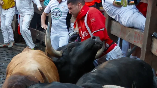 Un mozo, enganchado por un toro de La Palmosilla en el séptimo encierro de San Fermín 2025 Un mozo, enganchado por un toro de La Palmosilla en el séptimo encierro de San Fermín 2025