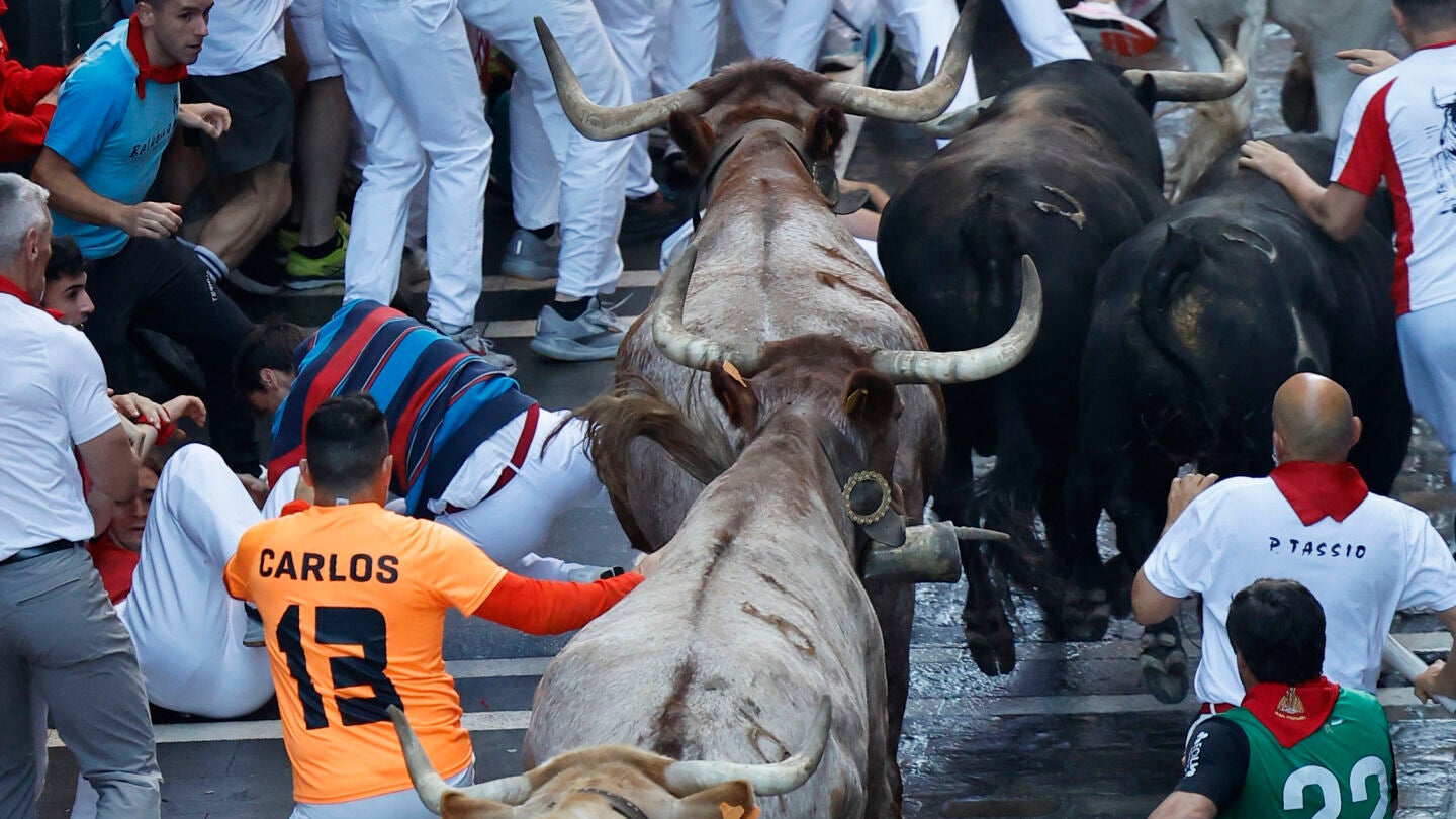Varios toros de La Palmosilla, junto a los cabestros de la manada corriendo el séptimo encierro de San Fermín de 2025