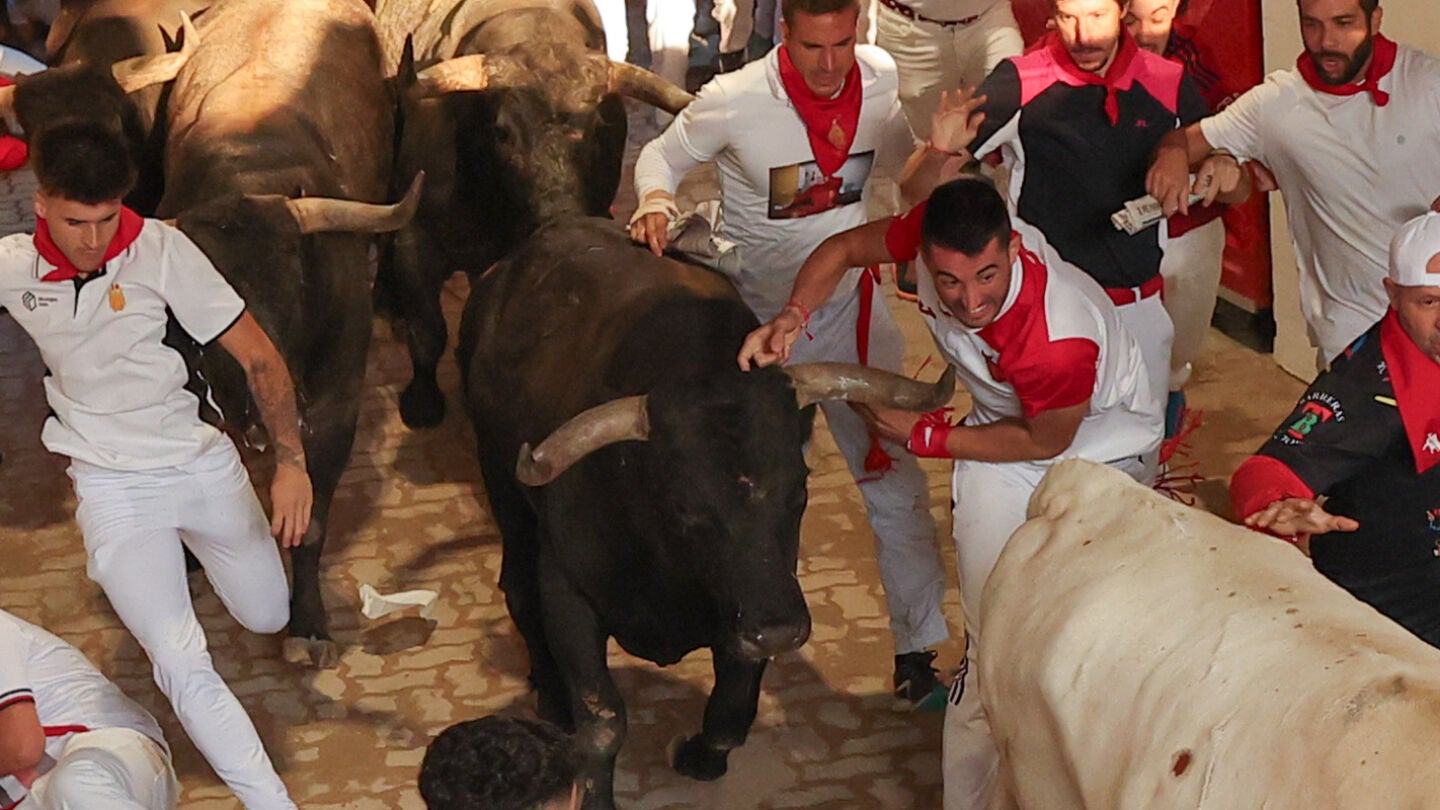Los Miura entran en la plaza de toros al final del octavo encierro de San Fermín de 2025