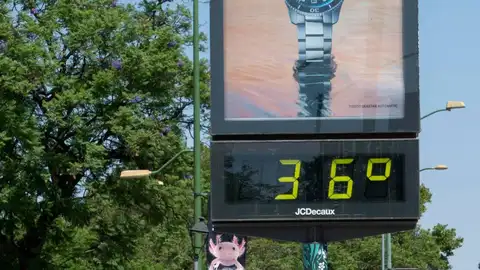 Termómetro Termómetro