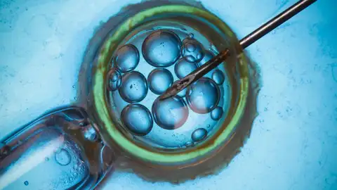 Ocho bebés nacen sin una enfermedad hereditaria gracias a la donación mitocondrial Ocho bebés nacen sin una enfermedad hereditaria gracias a la donación mitocondrial