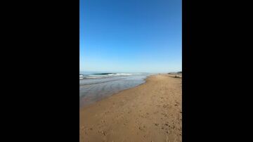 Playa de Sancti Petri