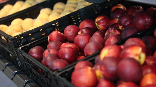 Fruta en expositores. Fruta en expositores.