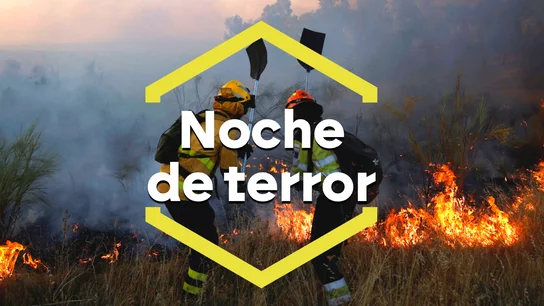 El incendio en Méntrida ya está estabilizado: los daños se extienden a más de 3.000 hectáreas. El incendio en Méntrida ya está estabilizado: los daños se extienden a más de 3.000 hectáreas.
