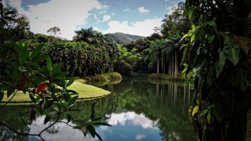 Minas Gerais. Brasil