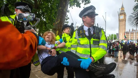 La policía británica detiene a una ciudadana por llevar una pancarta de apoyo a la ONG Palestine Action La policía británica detiene a una ciudadana por llevar una pancarta de apoyo a la ONG Palestine Action