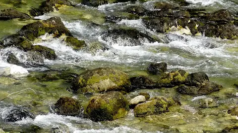 Nacimiento del río Kupa en el Parque Nacional de Risnjak Nacimiento del río Kupa en el Parque Nacional de Risnjak