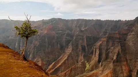 Waimea Canyon, Kauai Waimea Canyon, Kauai