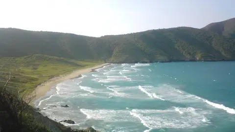 Playa en Tayrona, parque natural de Colombia Playa en Tayrona, parque natural de Colombia