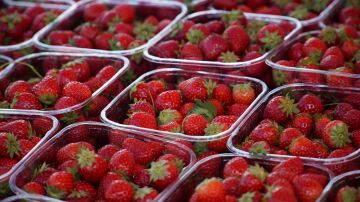 Barquetas de pl&aacute;stico con fresas.