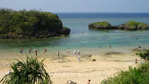 Iriomote Iriomote