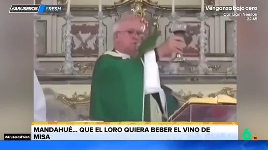 Un loro se cuela en pleno sermón para robarle el vino de misa al cura Un loro se cuela en pleno sermón para robarle el vino de misa al cura
