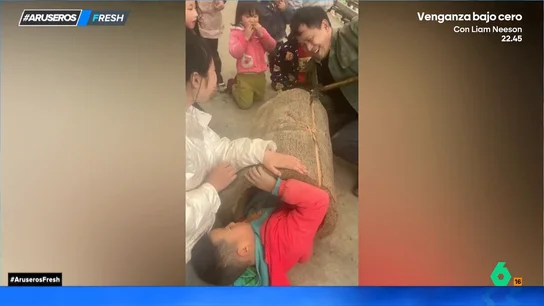 Un niño se queda atrapado dentro del tronco de un árbol jugando al escondite Un niño se queda atrapado dentro del tronco de un árbol jugando al escondite