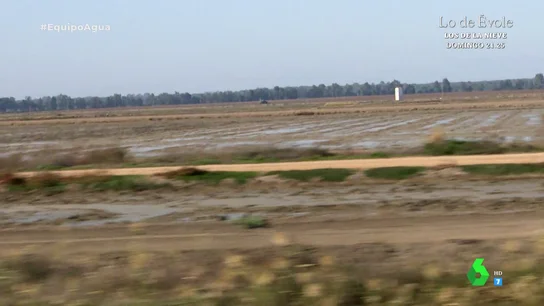 Equipo de Investigación muestra la finca de una familia arrocera sentenciada a prisión por robar agua de Doñana Equipo de Investigación muestra la finca de una familia arrocera sentenciada a prisión por robar agua de Doñana